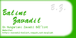 balint zavadil business card